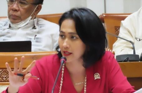 Christina Aryani: Pemerintah Kurang Antisipasi Gelombang Rohingya